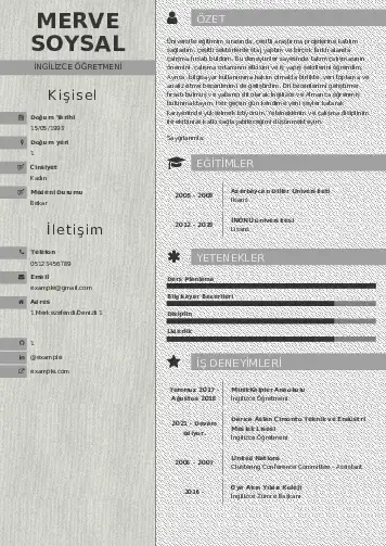 Yabancı Dil Öğretmeni Cv Örnekleri cv indir